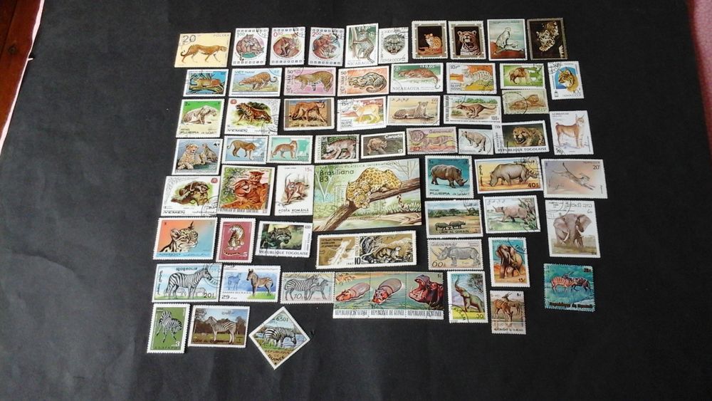 Timbres sur les animaux sauvages 