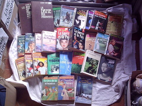 Livres & Romans  SAGA   tous genres (0,10 � � 2 �) 1 Bouxwiller (67)