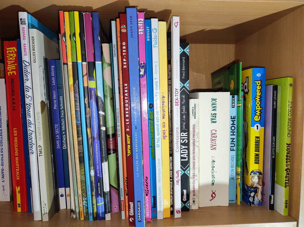 Collection de BD en tout genre Livres et BD