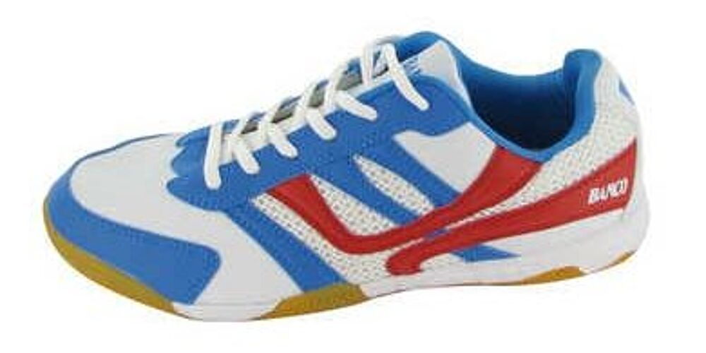 CHAUSSURES de SPORT en SALLE Pointure 35/36 Sports