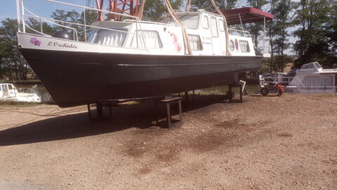 Bateaux à moteur Bateau fluvial 1980 occasion Sagonne 18600