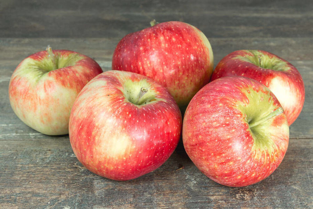 Pommes bio Jardin