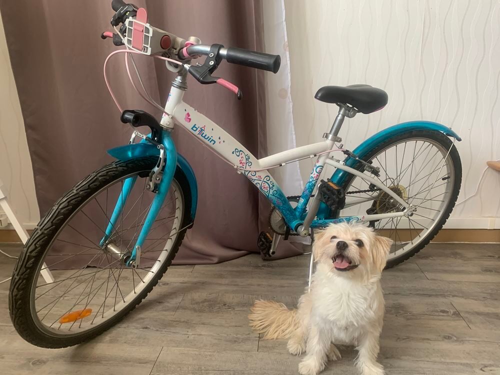 V&eacute;lo BTWIN Consoles et jeux vidéos