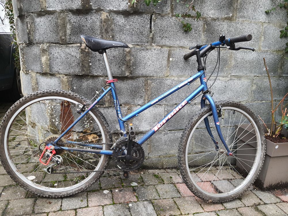 Achetez vtt femme vtt femme occasion annonce vente Abscon 59