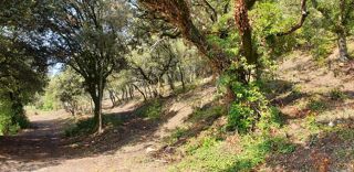  Terrain à vendre 536 m²