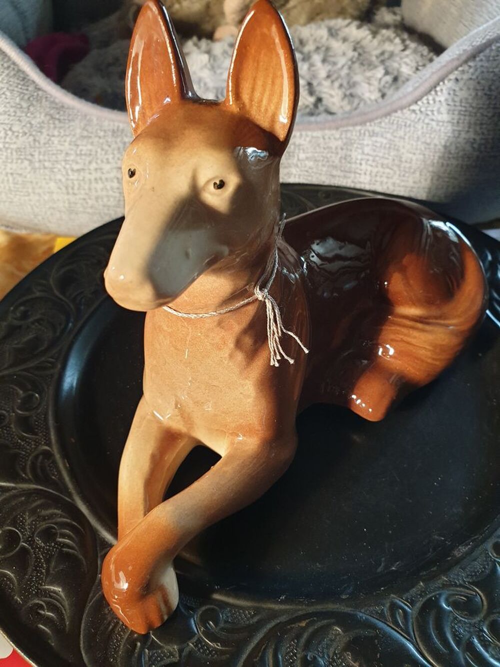 chien miniature de collection 