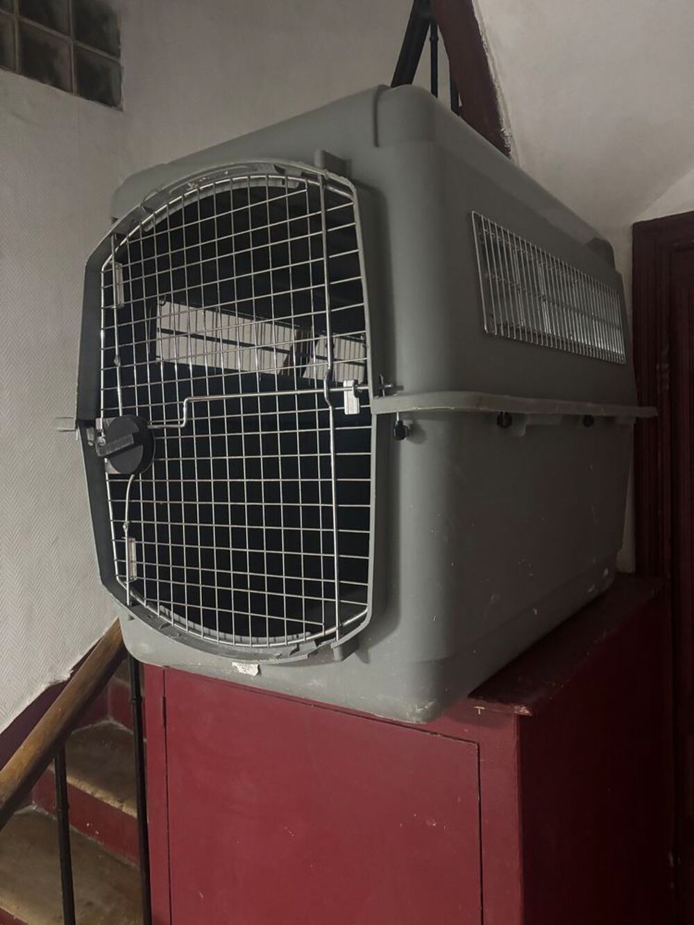   Cage de transport taille XL (IATA) 