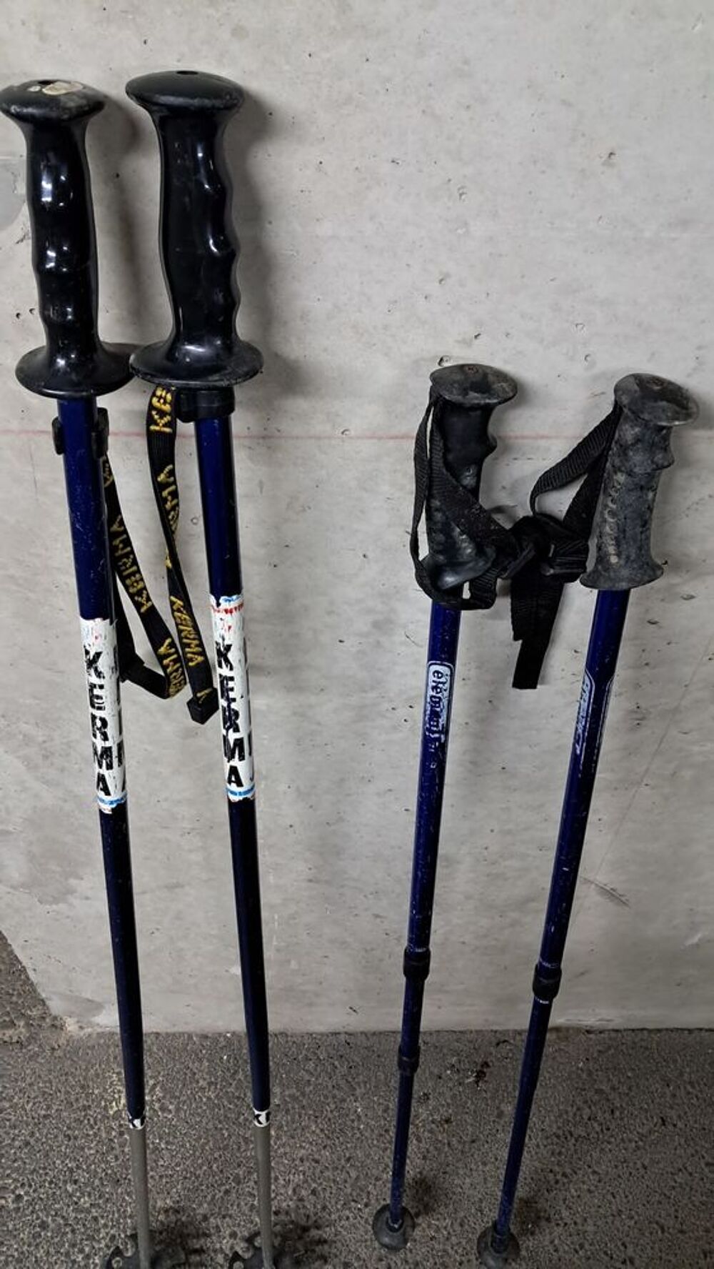 B&acirc;tons de ski Sports