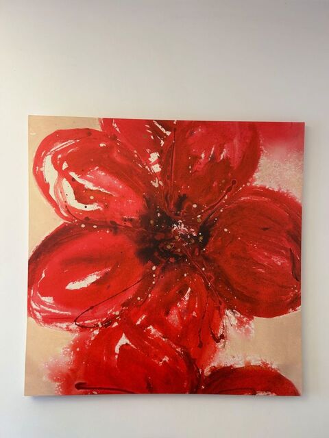 d�m�nagement - Jolie tableau avec fleur rouge 15 Grenoble (38)