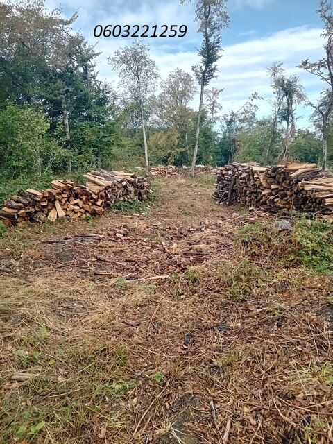 bois de chauffage 0 Nevers (58)