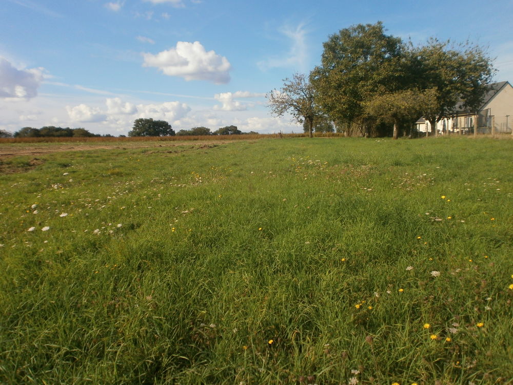 Vente Terrain Terrain constructible 1700m² à 25 min de RENNES La chapelle-bouëxic