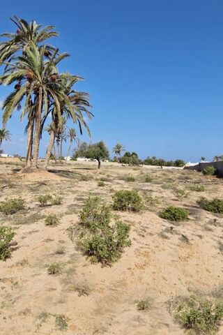  Terrain � vendre 10693 m� Tezdaine djerba