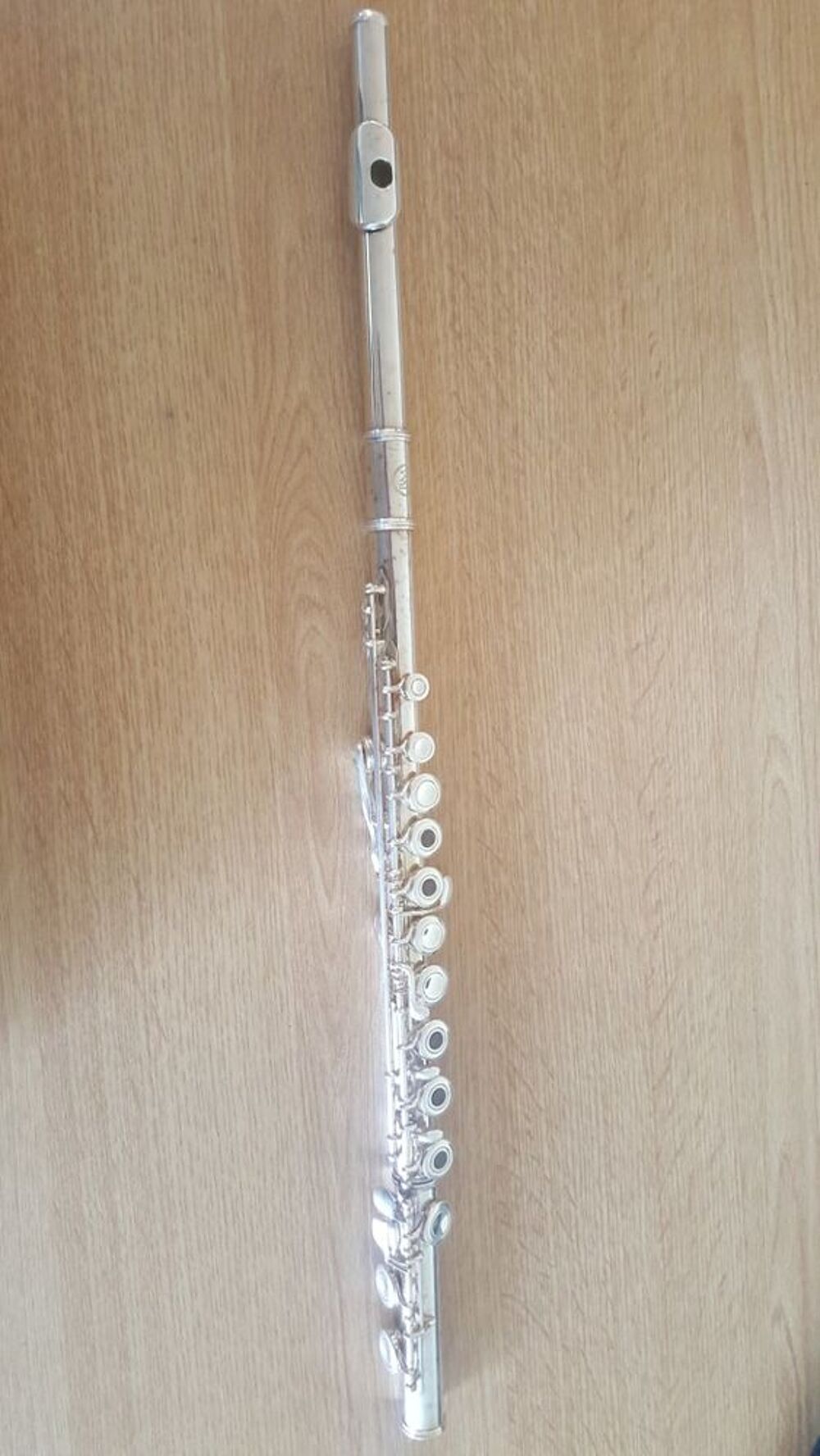 Flute traversi&egrave;re marque BM Instruments de musique