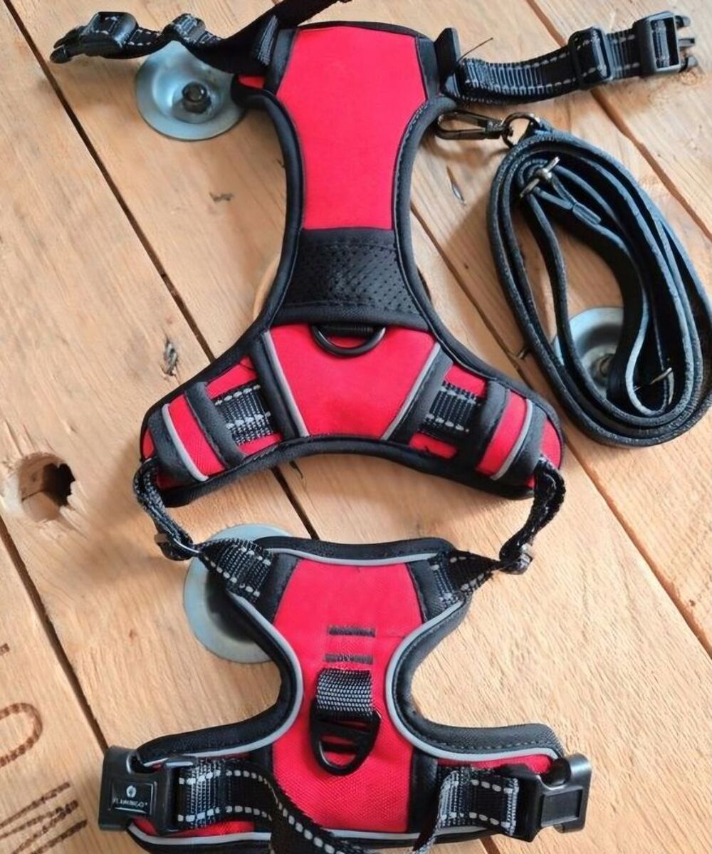   Harnais chien taille S NEUF 