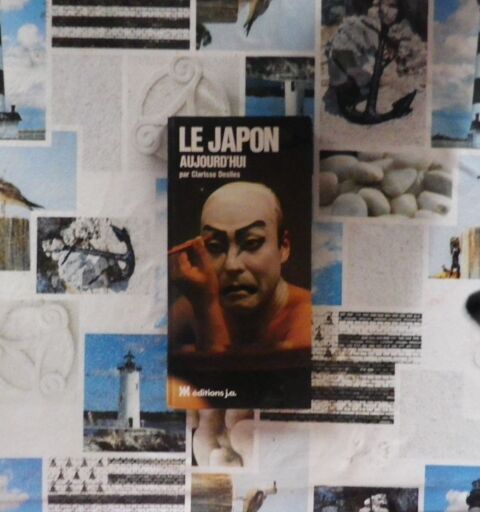 LE JAPON AUJOURD'HUI par Clarisse DESILES 4 Bubry (56)