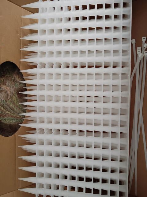 Pics anti pigeons 15 29200 Brest