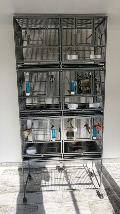 Batterie d &eacute;levage oiseaux  300 86430 Luchapt