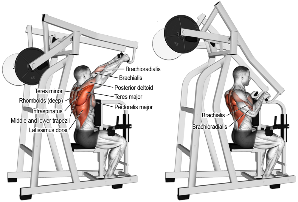 Tirage Dos verticale neuf Sports