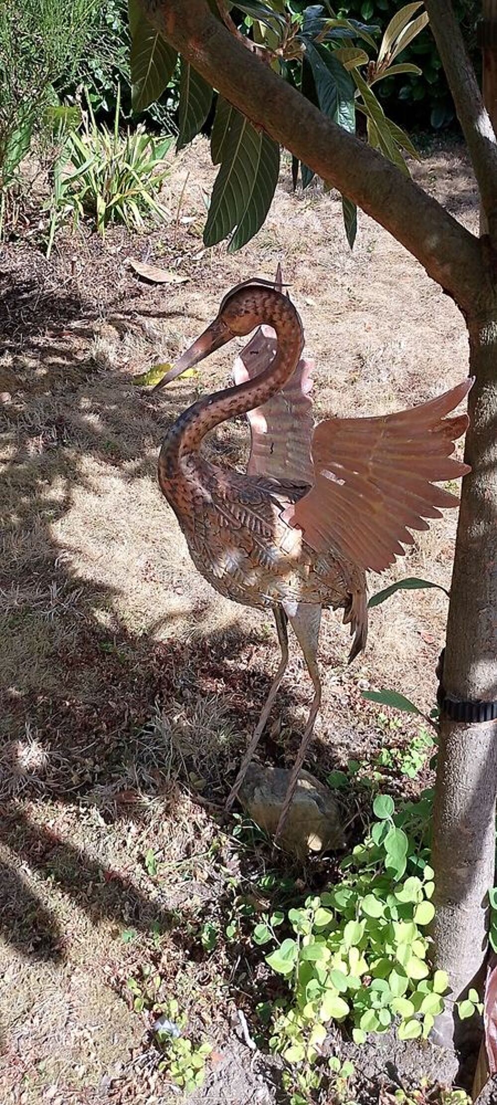 Herons de jardin Jardin