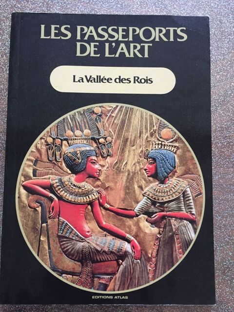 Livre La vallée des Rois 4 Nîmes (30)