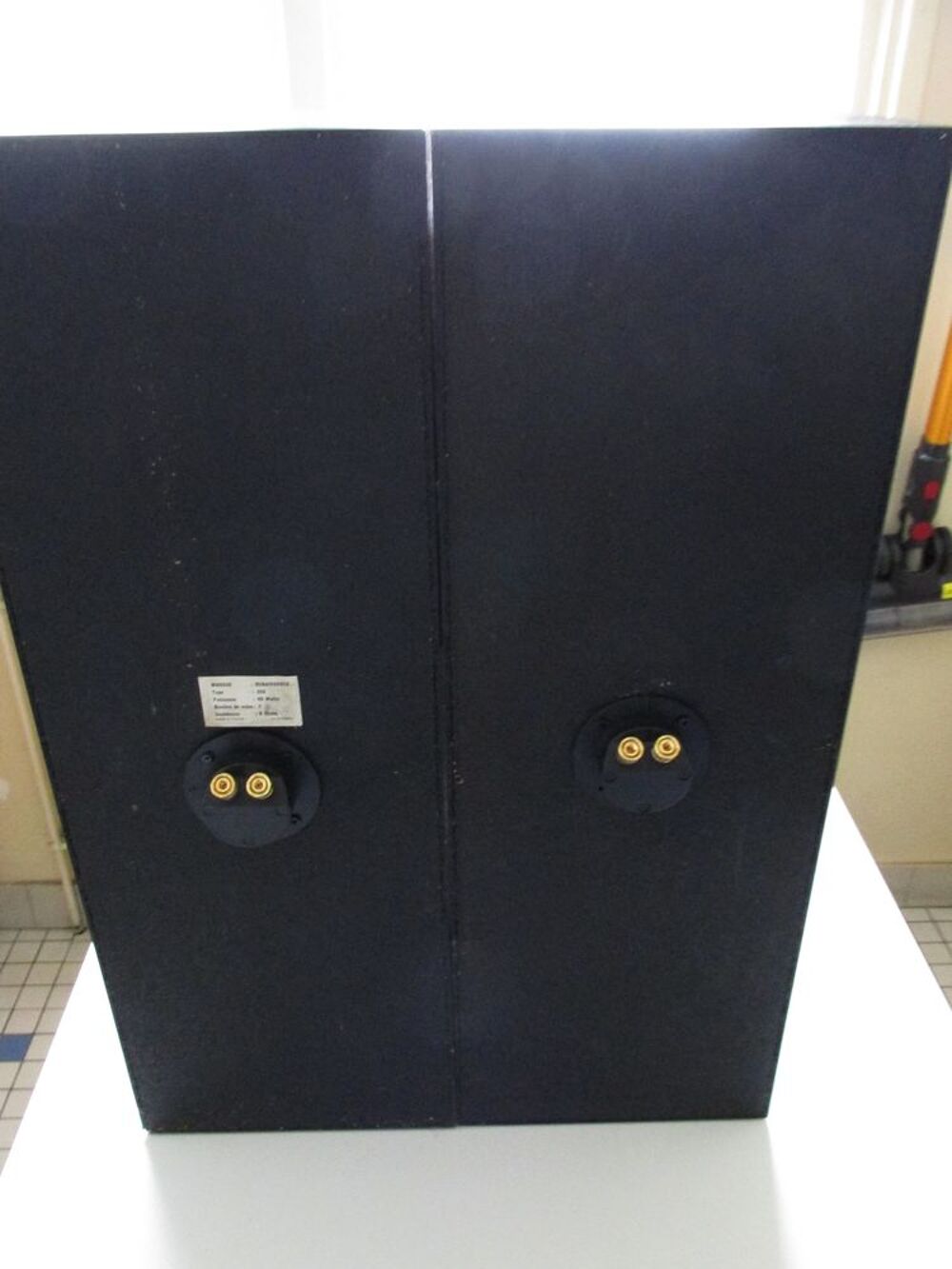 Enceintes RENAISSANCE Type 350 Audio et hifi