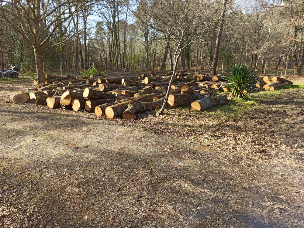Bois de chauffage ch&ecirc;ne livraison Jardin