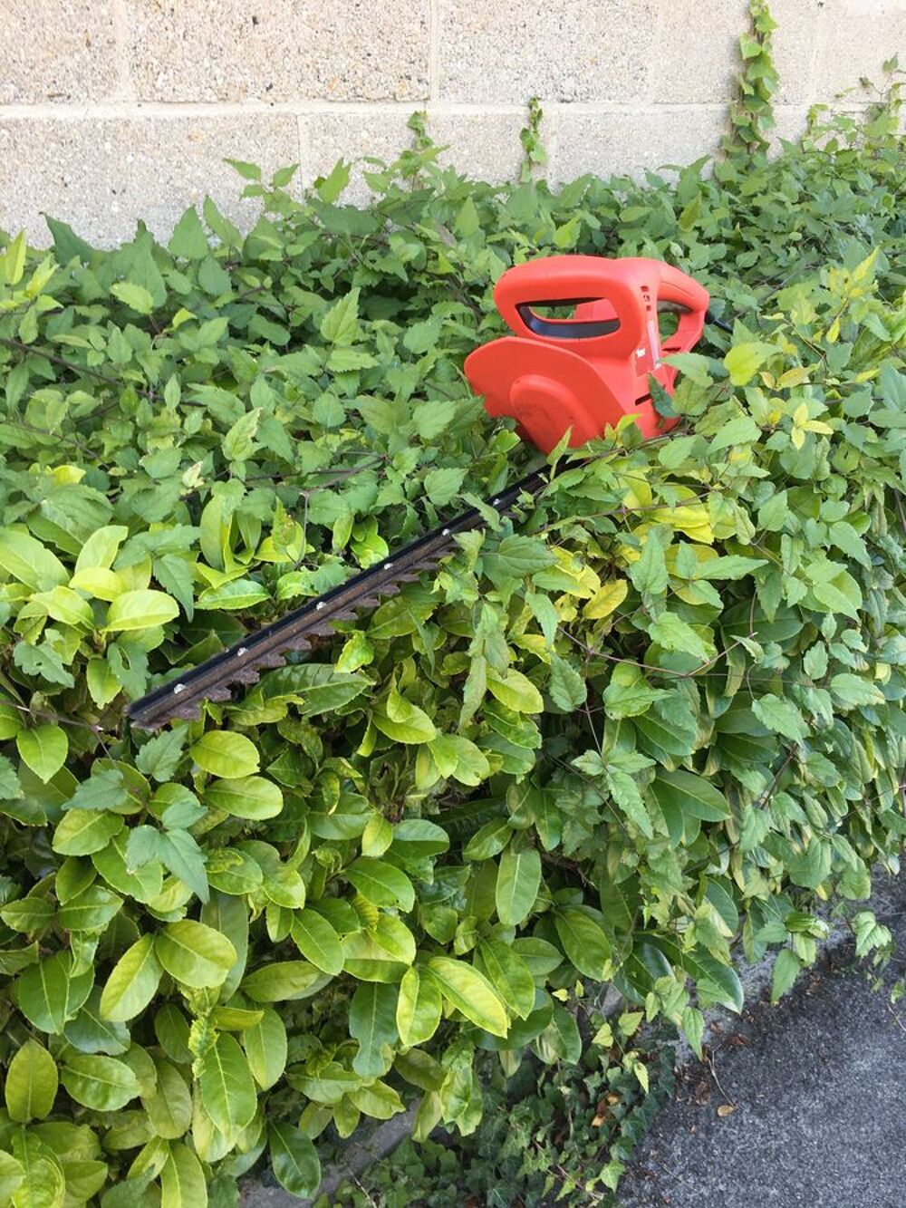 une Tondeuse BOSCH haute Gamme sans fil Jardin