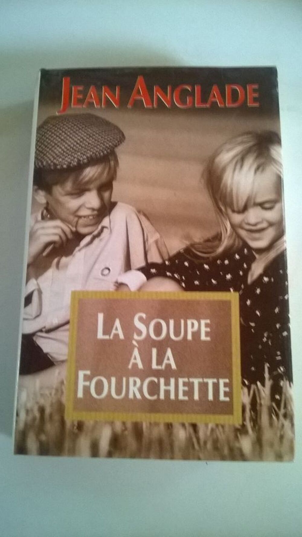 Livre La Soupe &Agrave; la Fourchette 
de Jean Anglade 
1995
Livres et BD