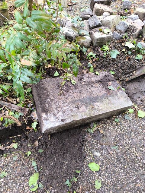 Pavs tous styles 0 pinay-sur-Seine (93)