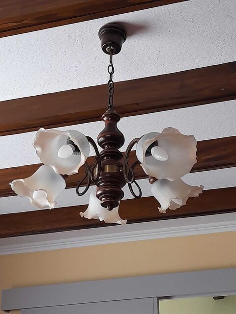 lustre 5 branches 30 �chenoz-la-M�line (70)