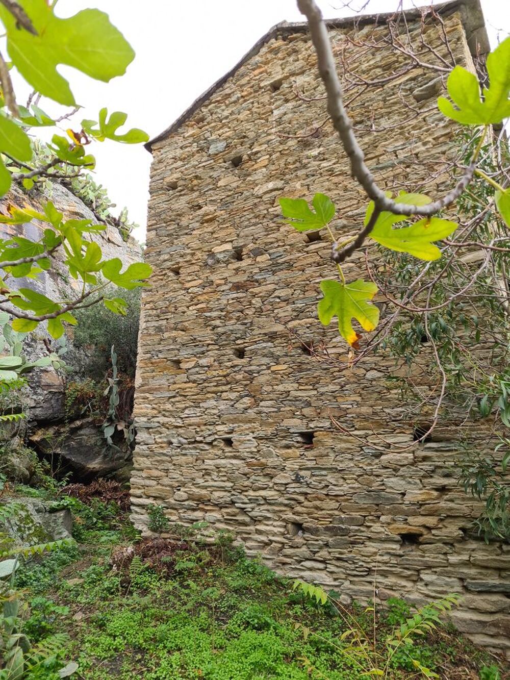 Vente Maison Maison de Village Corse Centuri - Cannelle 20238   Centuri