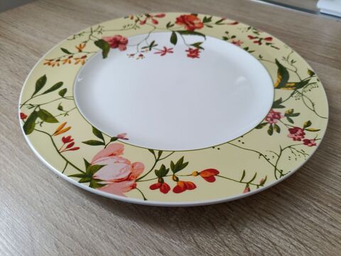 assiettes plates 3.5 Lassigny (60)