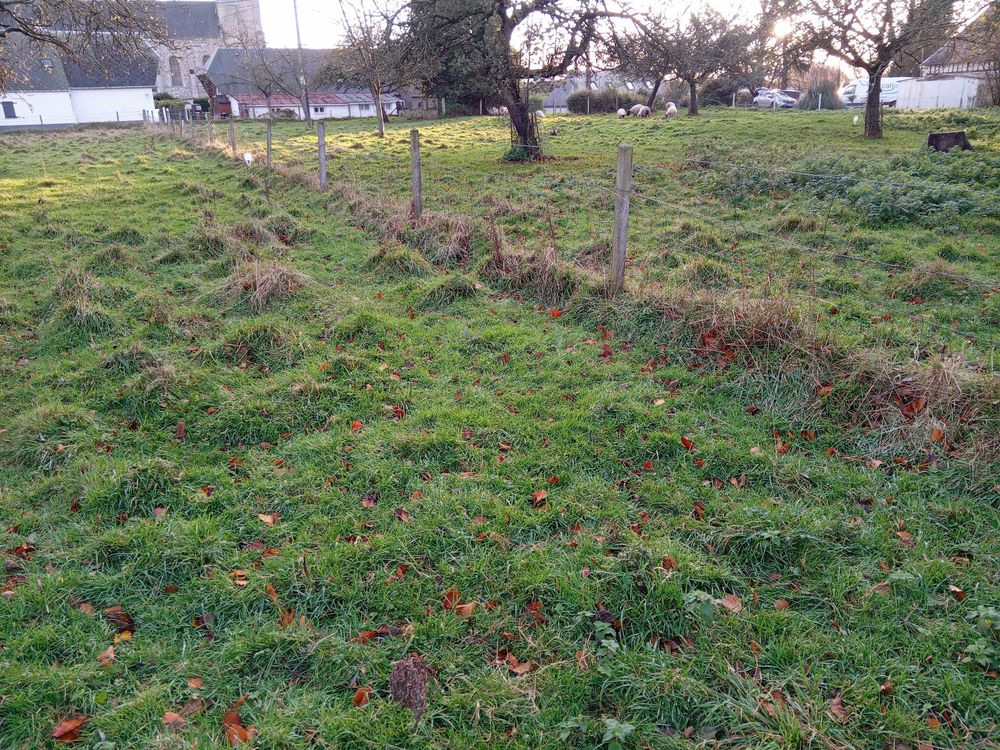 Vente Terrain Terrains viabilisés petit village Normand Sainte-marguerite-sur-fauville