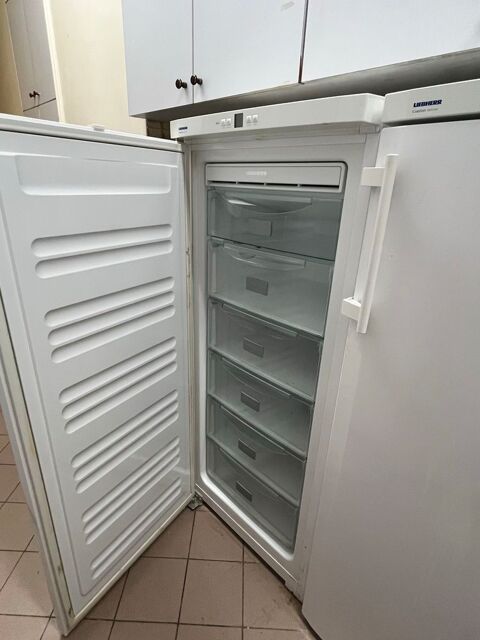 2 cong�lateurs Liehberr comme neufs 600 Paris 16 (75)