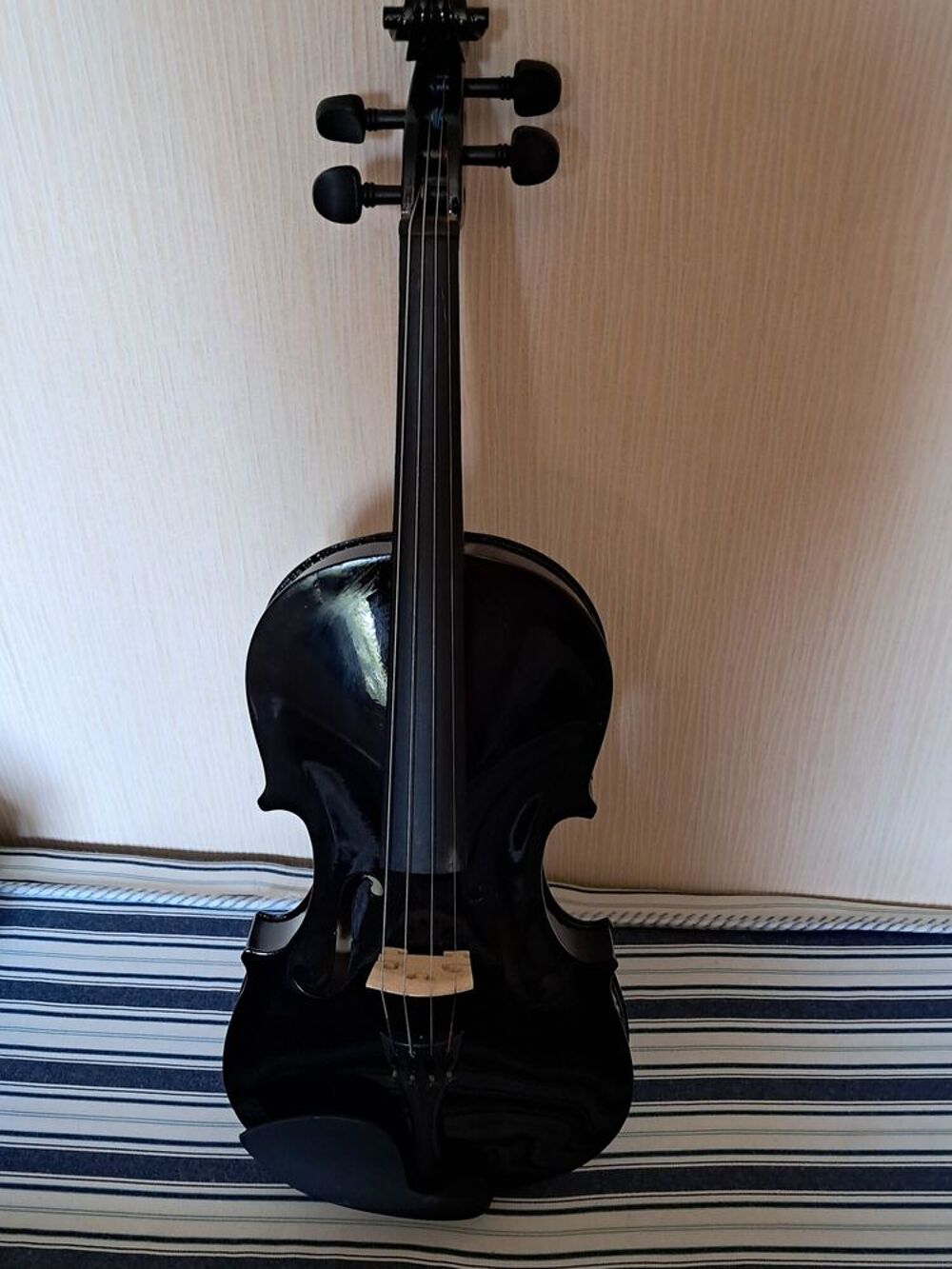 violon Instruments de musique