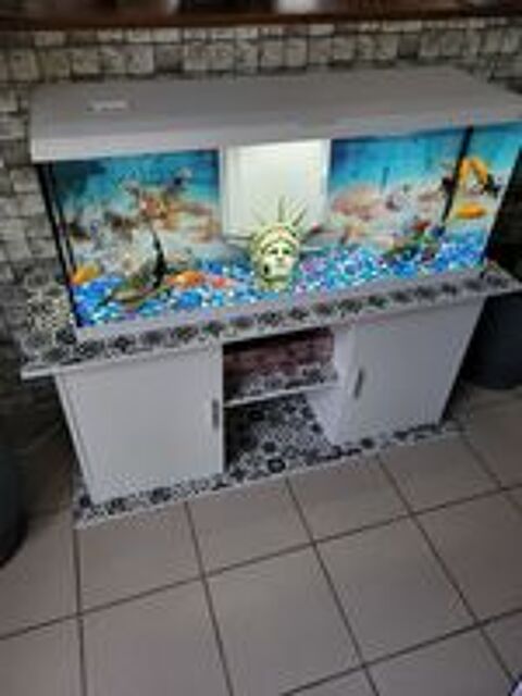   Aquarium complet  
