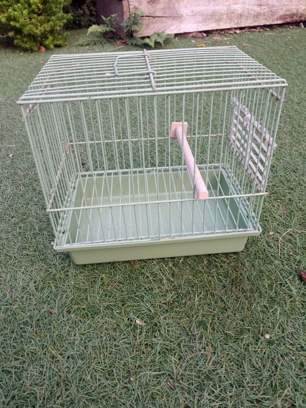   cage de transport 