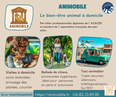 Visite d' animaux à domicile et taxi animalier 7/7 13 30900 St cesaire