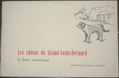 Les chiens du Grand-Saint-Bernard 55 Montcy-Notre-Dame (08)