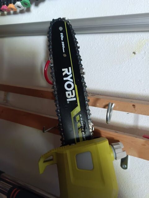 Ryobi RPP755E , 220 V  25cm , Elagueuse sur perche 50 Schwindratzheim (67)