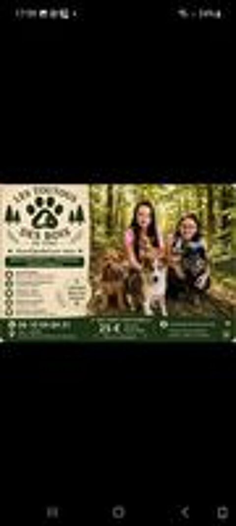  pension familiale pour chiens- Les Toutous des Bois de Cère aux alentours de Mont de Marsan 
