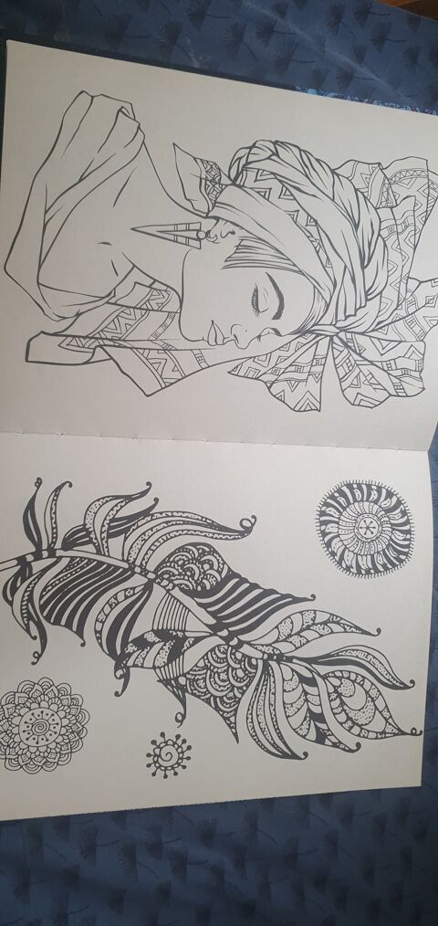 livres addulte seul 5euros et lot 5= 18Euros 5 Dax (40)