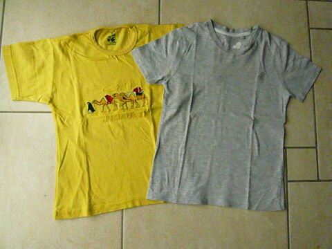 Lot de 2 tee-shirts garçon 6 ans (n°27) 8 Franqueville-Saint-Pierre (76)