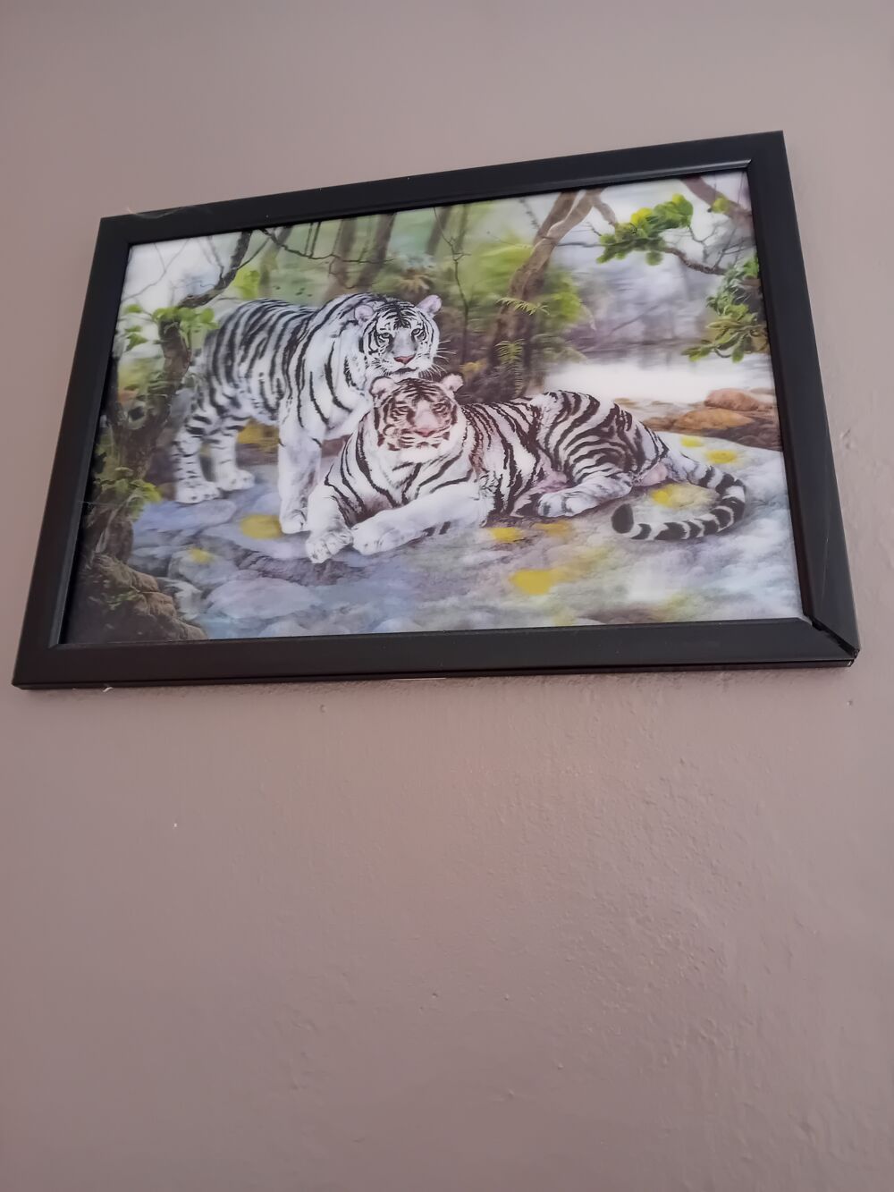 Tableau tigre Dcoration