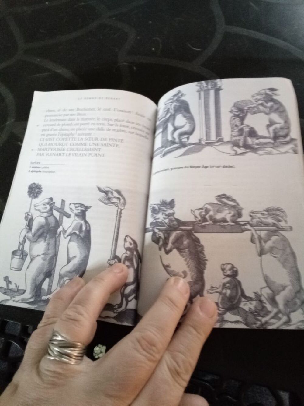 Le roman de Renart Livres et BD