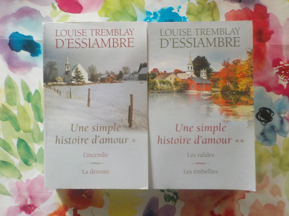 UNE SIMPLE HISTOIRE D'AMOUR T1 &agrave; 4 en 2 vol L. TREMBLAY D'ES Livres et BD