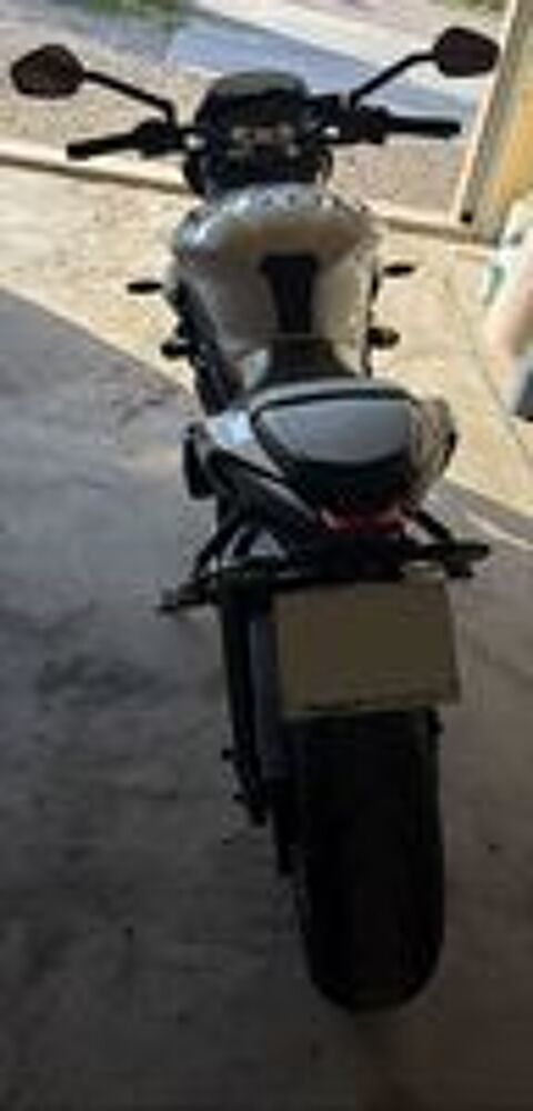 TRIUMPH 2020 occasion 57530 Raville
