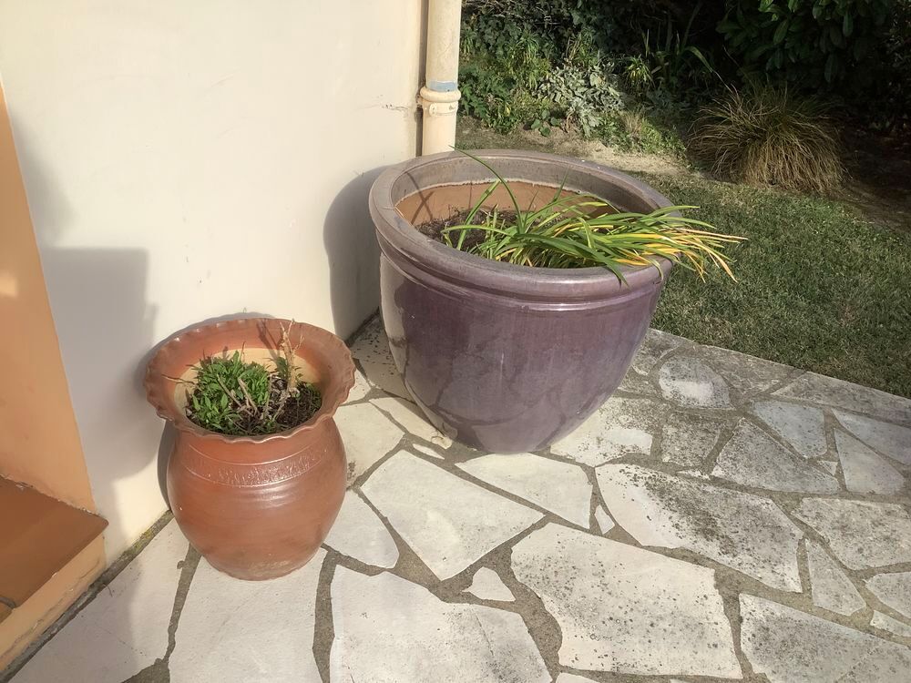 Pot fleur Jardin