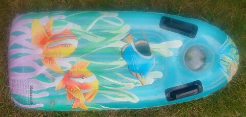 planche gonflable pour jeux d'eau 5 Beauchamp (95)