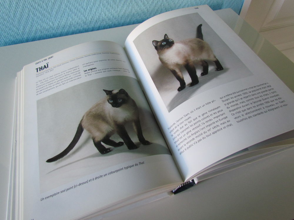 Encyclop&eacute;die mondiale des chats Livres et BD
